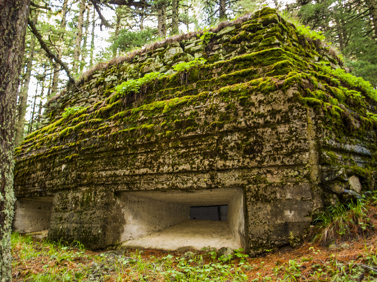 German bunker in Pelister National Park, Bitola (Photo license: CC BY-NC 2.0)